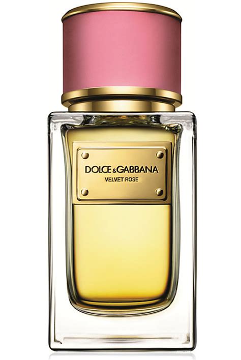 the rose perfume dolce gabbana|Dolce & Gabbana rose cologne.